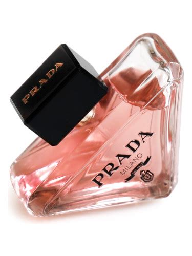 prada milano fragrantica.